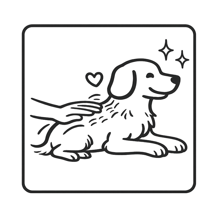 Palpation Lübeck Hund wird untersucht auf Boden