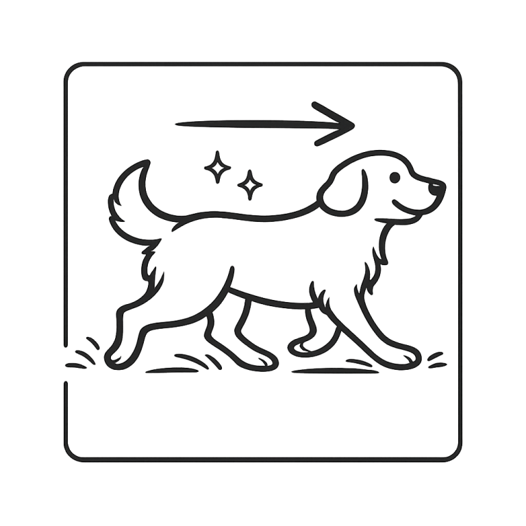 Gangbildanalyse Tierphysio Hund in Ganganalyse