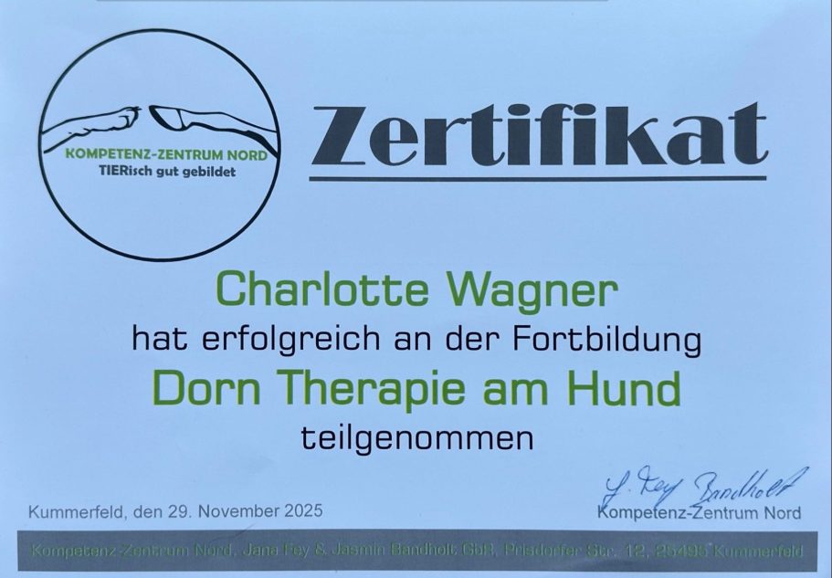 Zertifikat Dry Needling Hund Zertifikat für Behanldung von Dry Needling an Hund