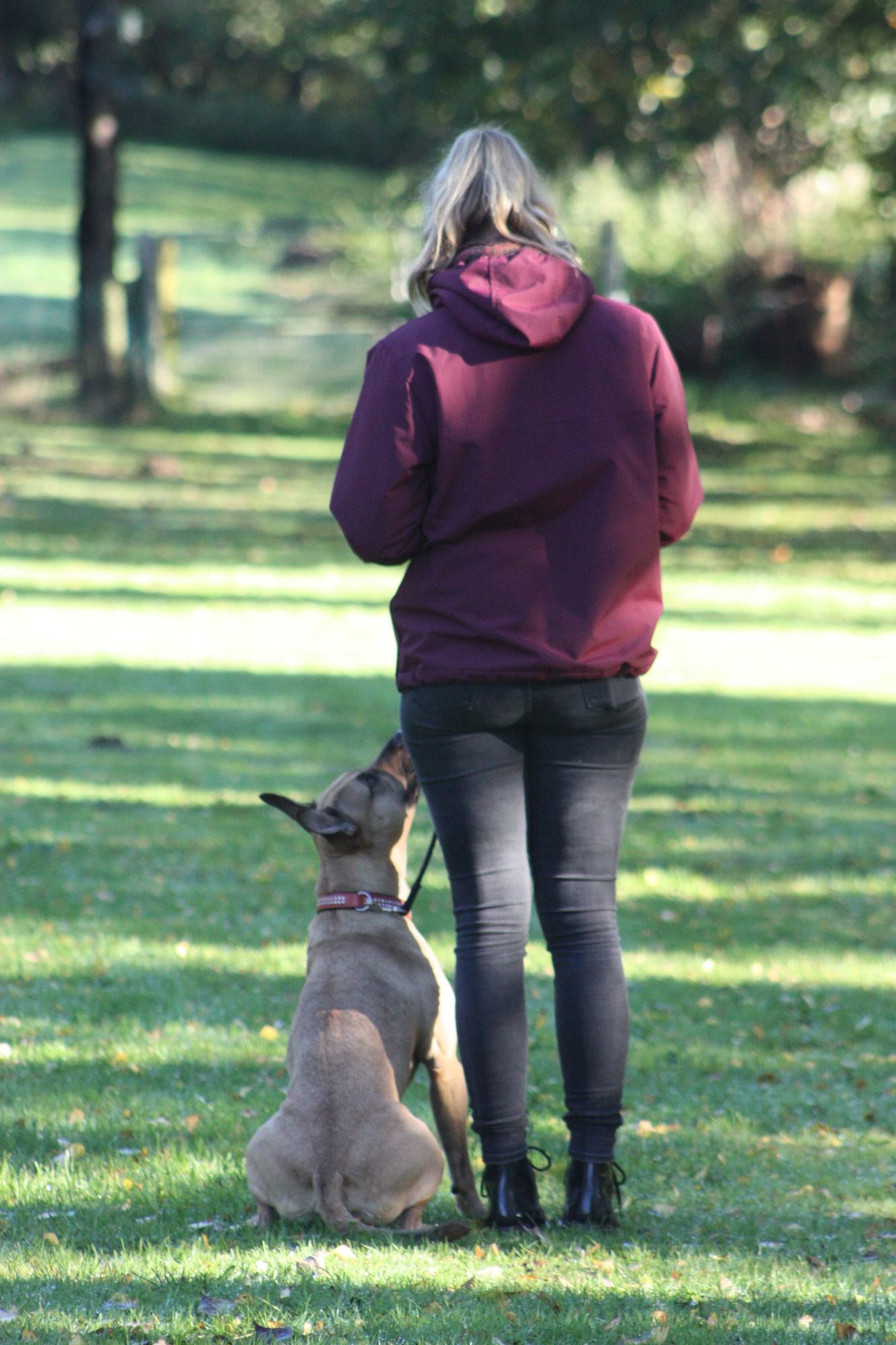 Tierphysio Lübeck Wagner Tierphysiotherapeutin Wagner