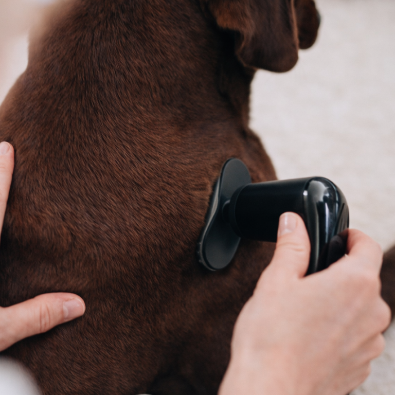 Novafon an Tier Behandlung