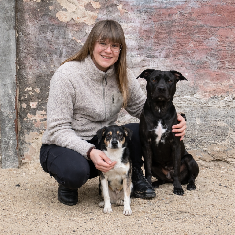 Wagner Tierphysiotherapie Tierphysiotherapie in Behandlung