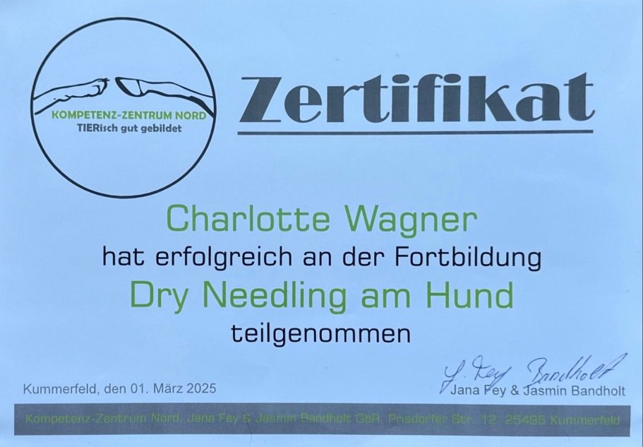 Zertifikat Wagner Dry Needling Zertifikat für Dry Needling